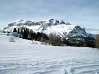 Alta Val Badia (146), Dolomiti (70), Sci Alpino (290)